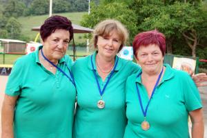 2. meto BK Brin - Povir